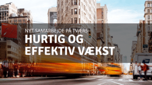 GrowYellow - vækst din forretning i over 10 lande