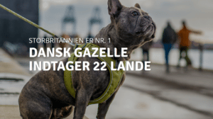 DOG Copenhagen i UK