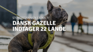 DOG Copenhagen