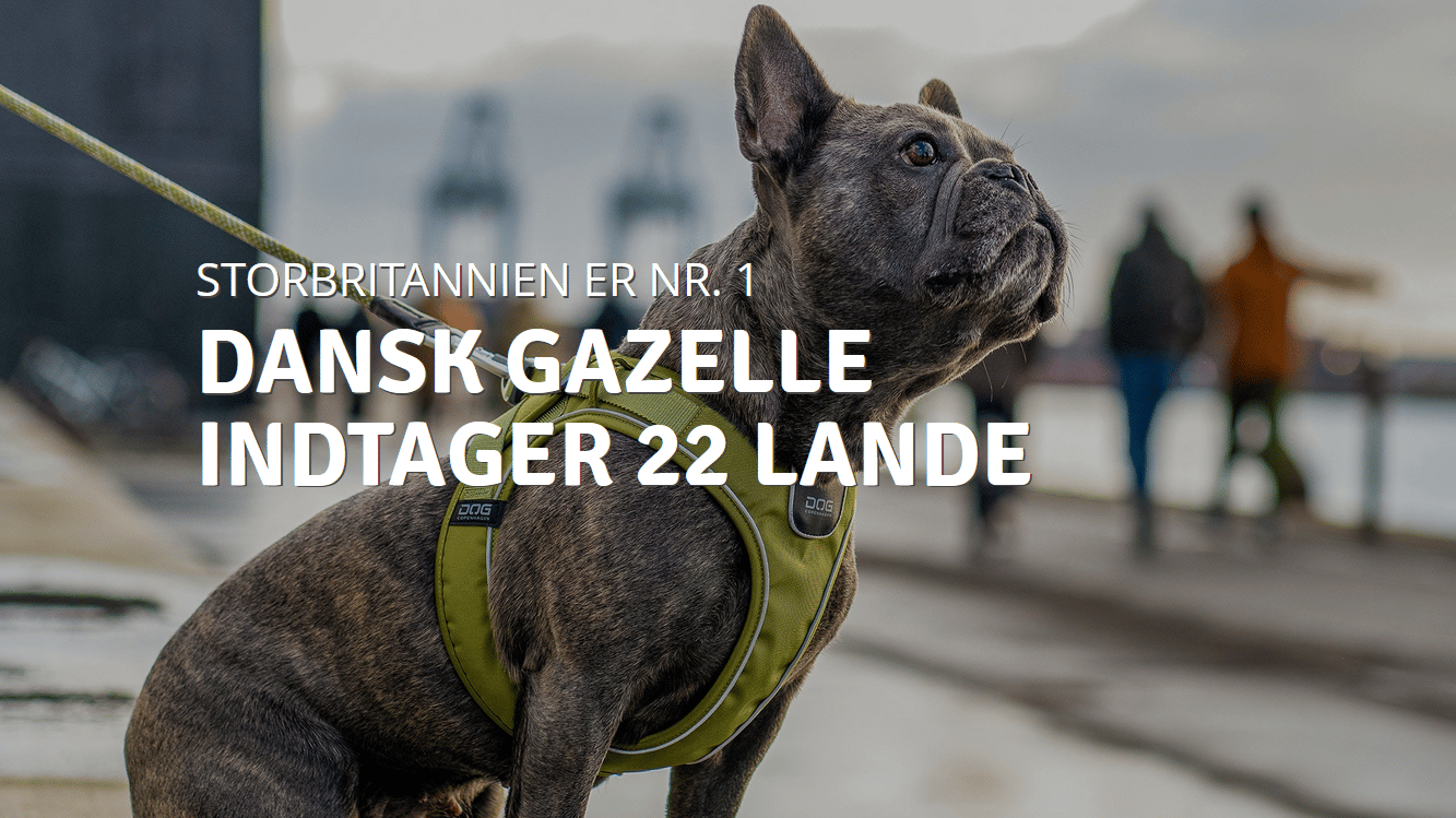 DOG Copenhagen