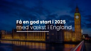startup og scaleup