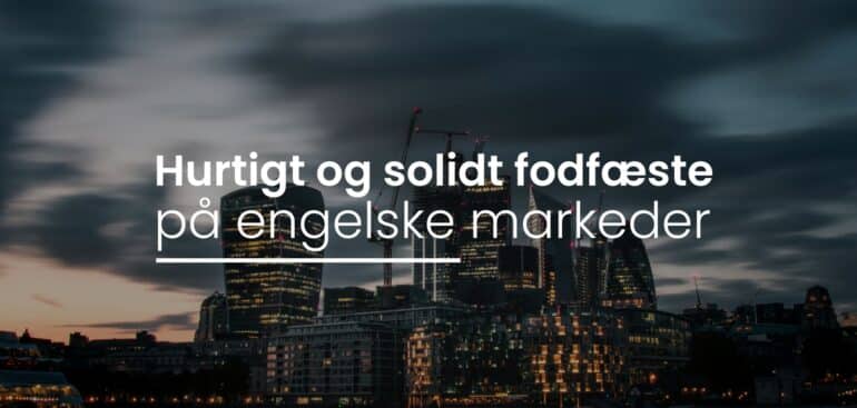 software- og teknologivirksomheder